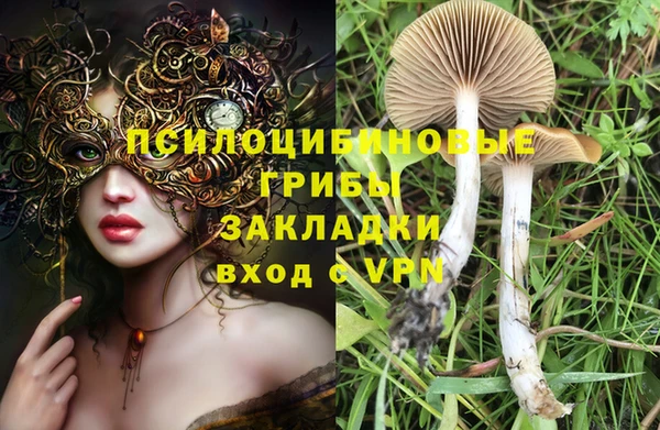 мдпв Новодвинск