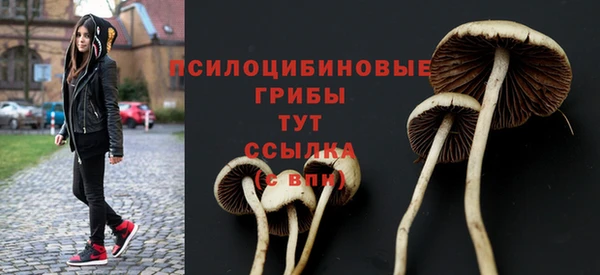 мдпв Новодвинск