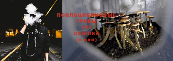 MESCALINE Новокубанск