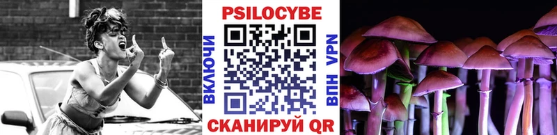 Купить где  Брюховецкая  Псилоцибиновые грибы Psilocybe 